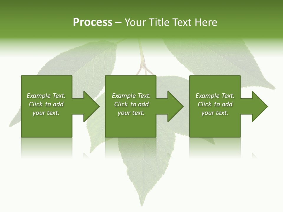 Trunk Small Isolated PowerPoint Template