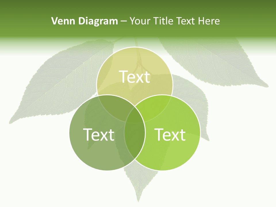 Trunk Small Isolated PowerPoint Template