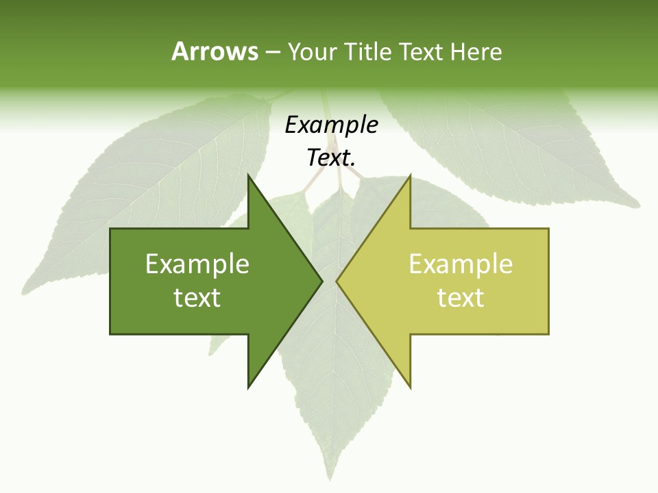 Trunk Small Isolated PowerPoint Template