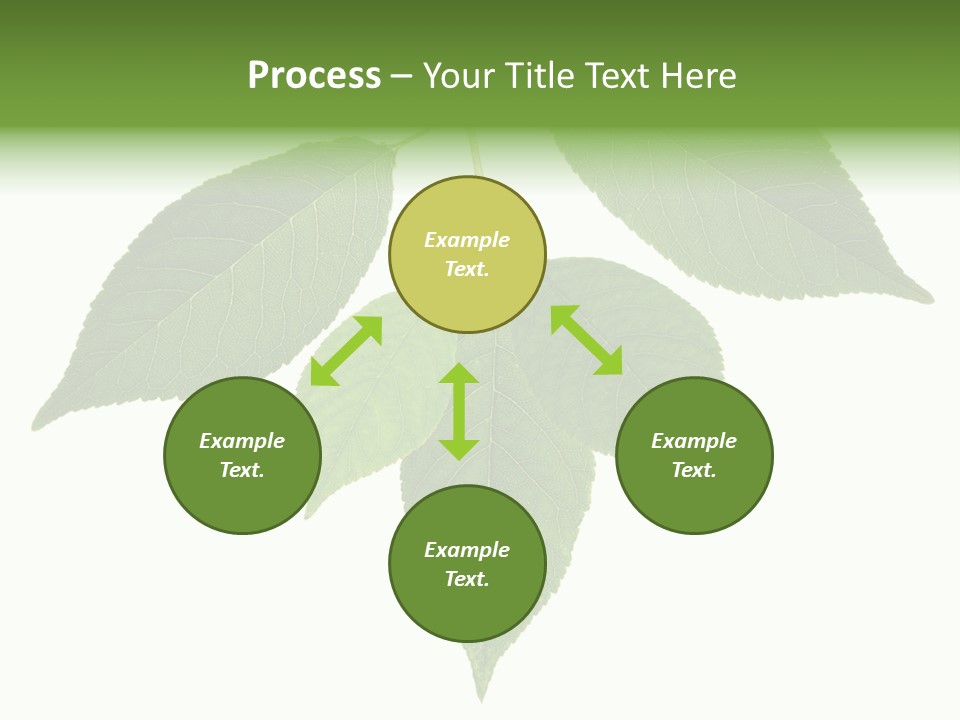 Trunk Small Isolated PowerPoint Template