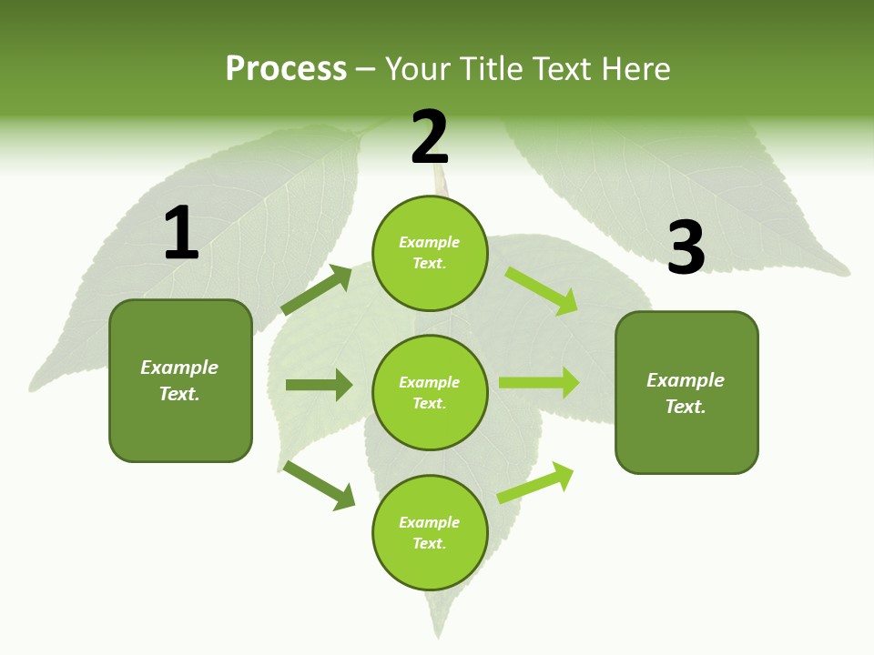 Trunk Small Isolated PowerPoint Template