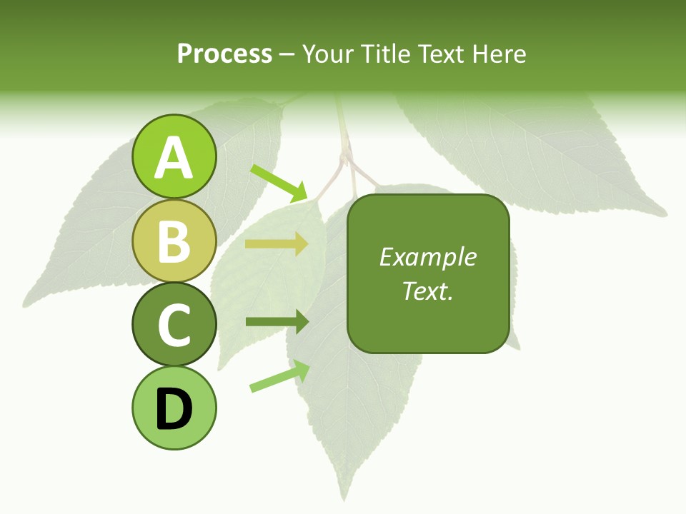 Trunk Small Isolated PowerPoint Template