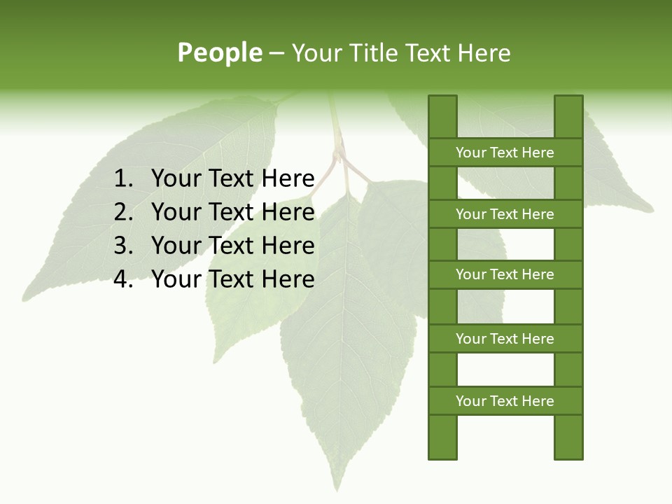 Trunk Small Isolated PowerPoint Template