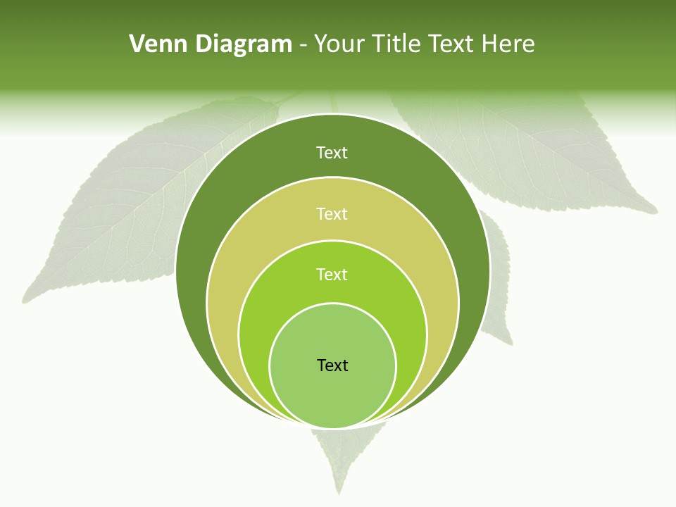 Trunk Small Isolated PowerPoint Template