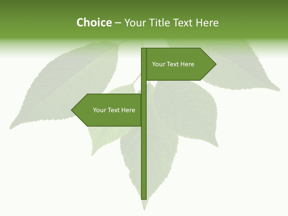 Trunk Small Isolated PowerPoint Template