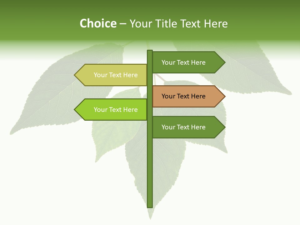 Trunk Small Isolated PowerPoint Template