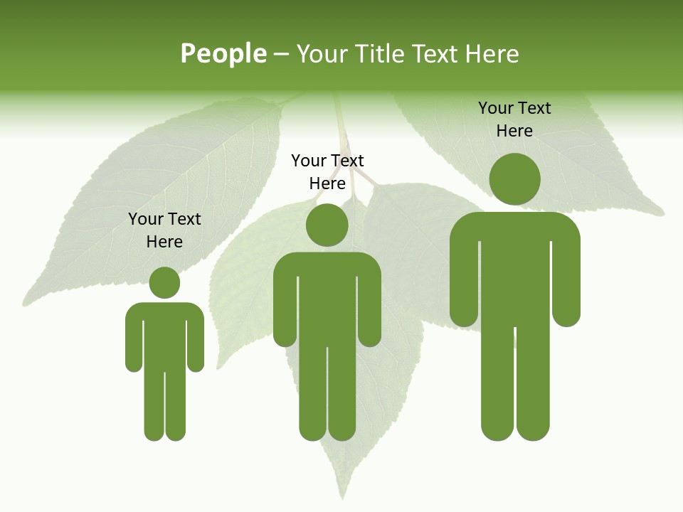 Trunk Small Isolated PowerPoint Template