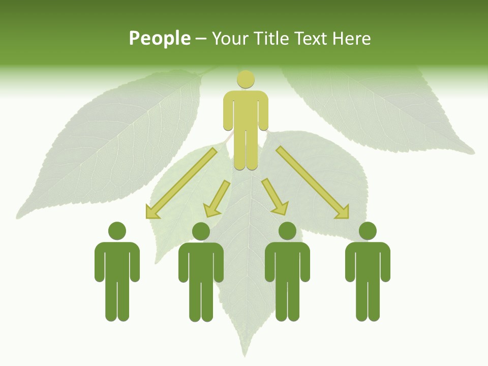 Trunk Small Isolated PowerPoint Template