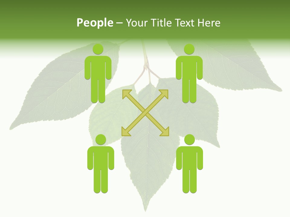 Trunk Small Isolated PowerPoint Template