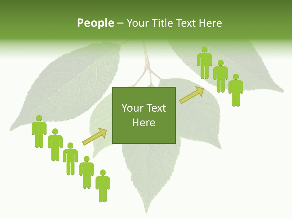 Trunk Small Isolated PowerPoint Template