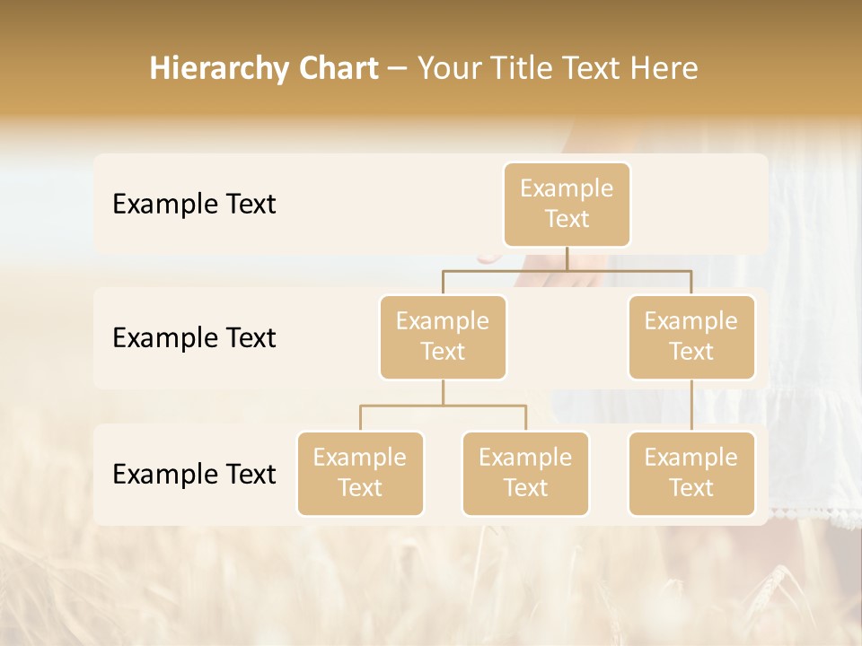 Wavy Hair Fashion Girl PowerPoint Template