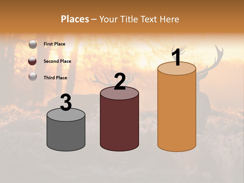 Hoge Veluwe Hunting Trees PowerPoint Template