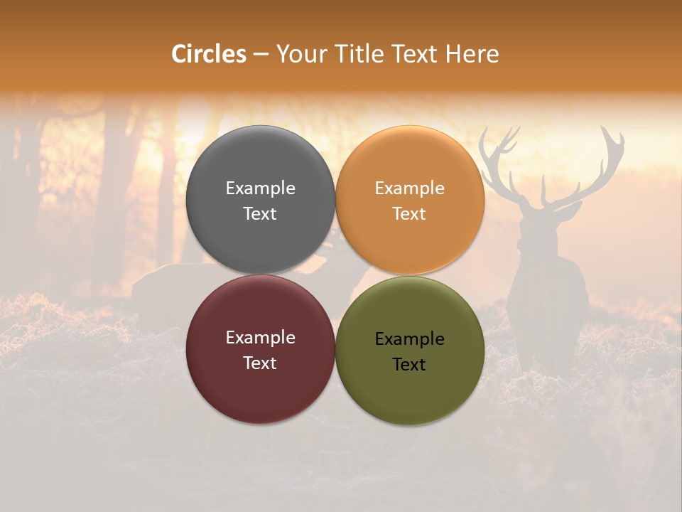 Hoge Veluwe Hunting Trees PowerPoint Template