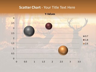 Hoge Veluwe Hunting Trees PowerPoint Template