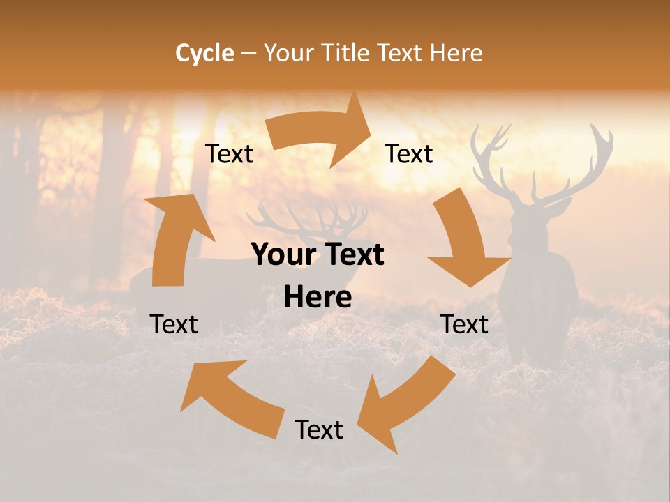 Hoge Veluwe Hunting Trees PowerPoint Template