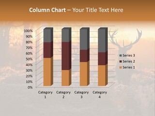 Hoge Veluwe Hunting Trees PowerPoint Template