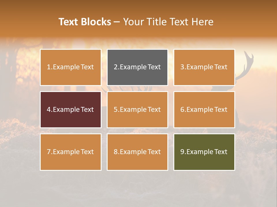 Hoge Veluwe Hunting Trees PowerPoint Template