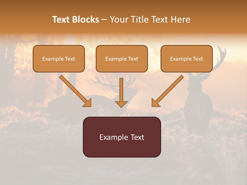 Hoge Veluwe Hunting Trees PowerPoint Template
