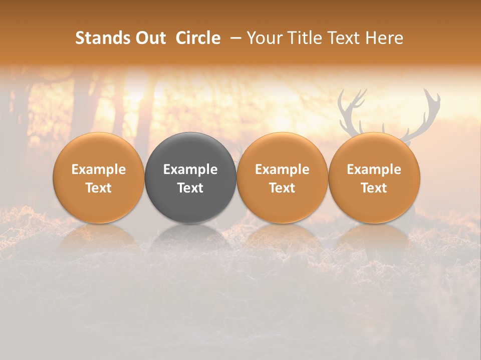 Hoge Veluwe Hunting Trees PowerPoint Template