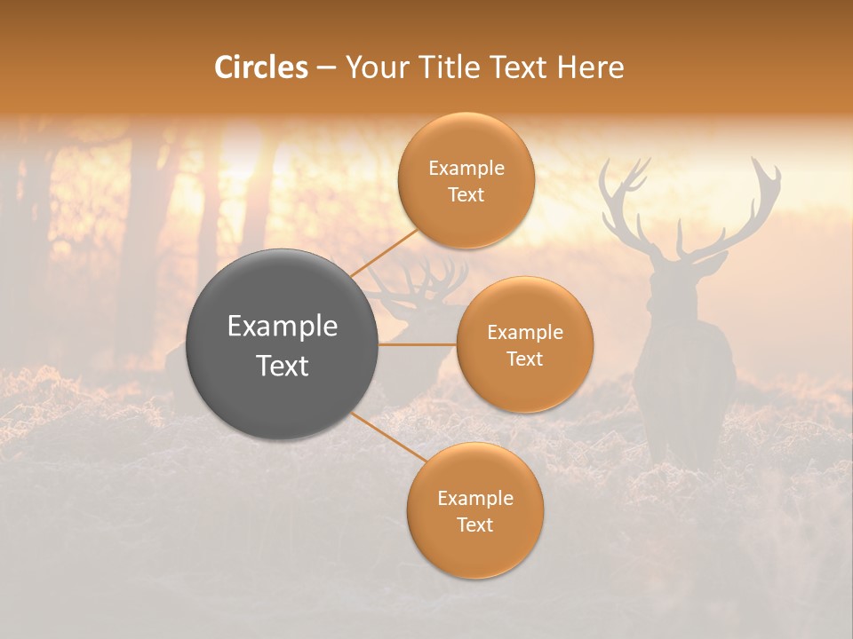 Hoge Veluwe Hunting Trees PowerPoint Template