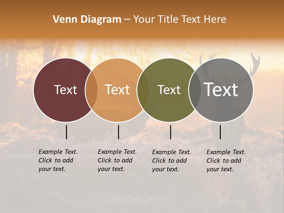 Hoge Veluwe Hunting Trees PowerPoint Template