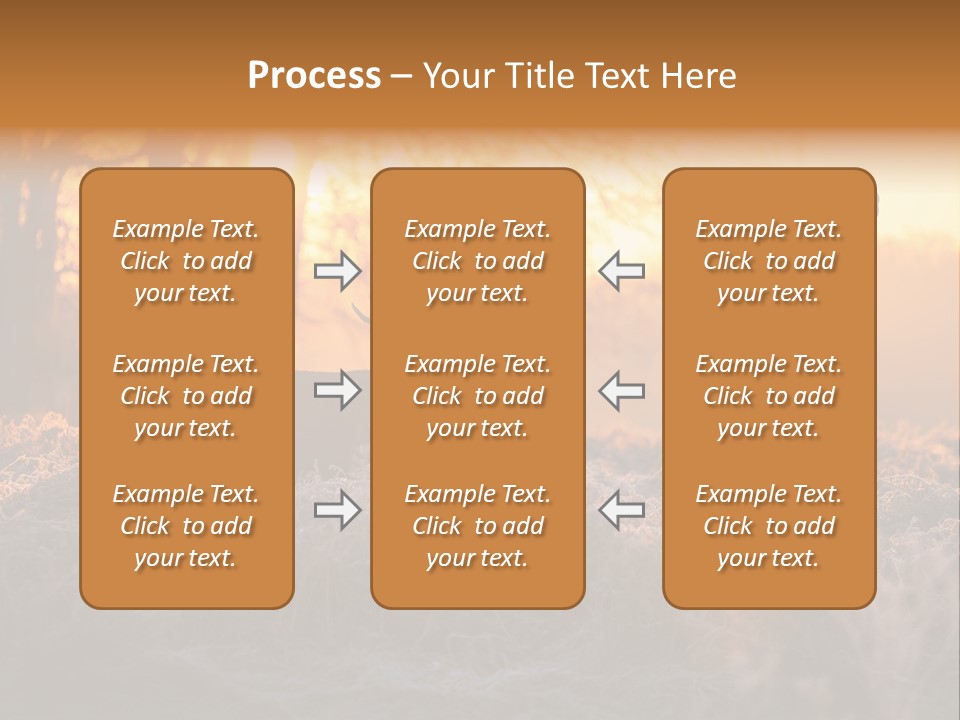 Hoge Veluwe Hunting Trees PowerPoint Template