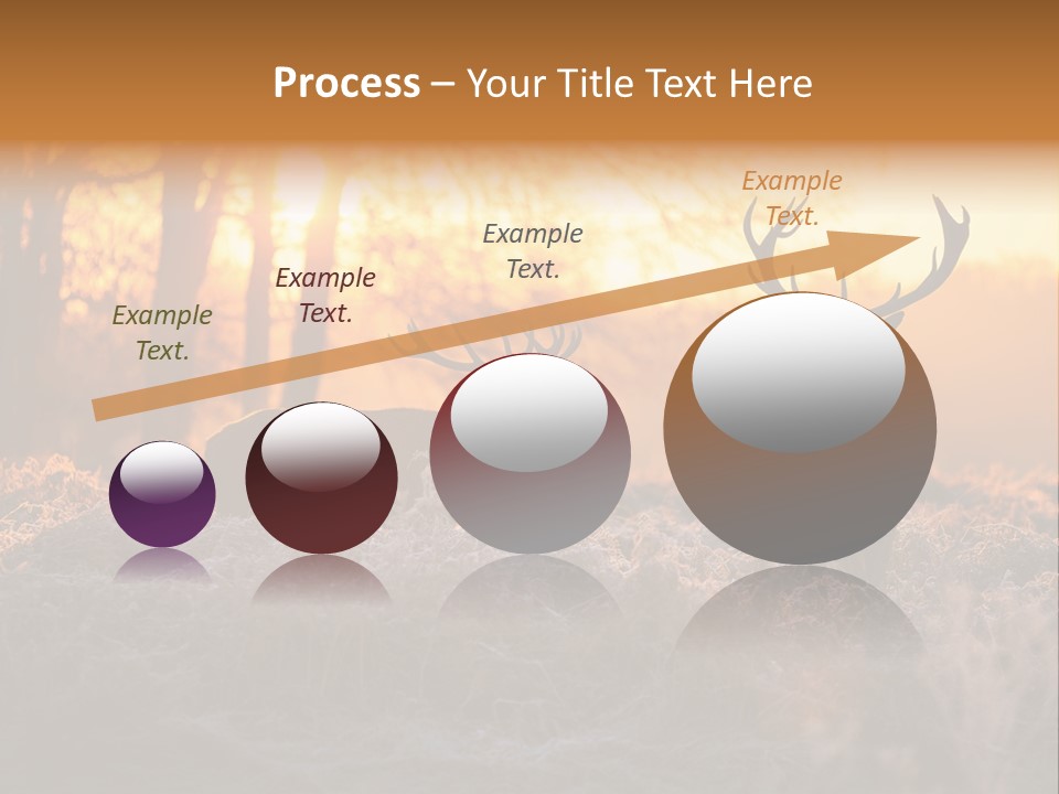 Hoge Veluwe Hunting Trees PowerPoint Template