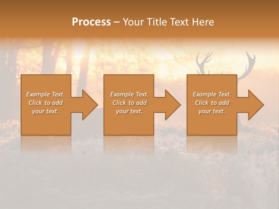 Hoge Veluwe Hunting Trees PowerPoint Template
