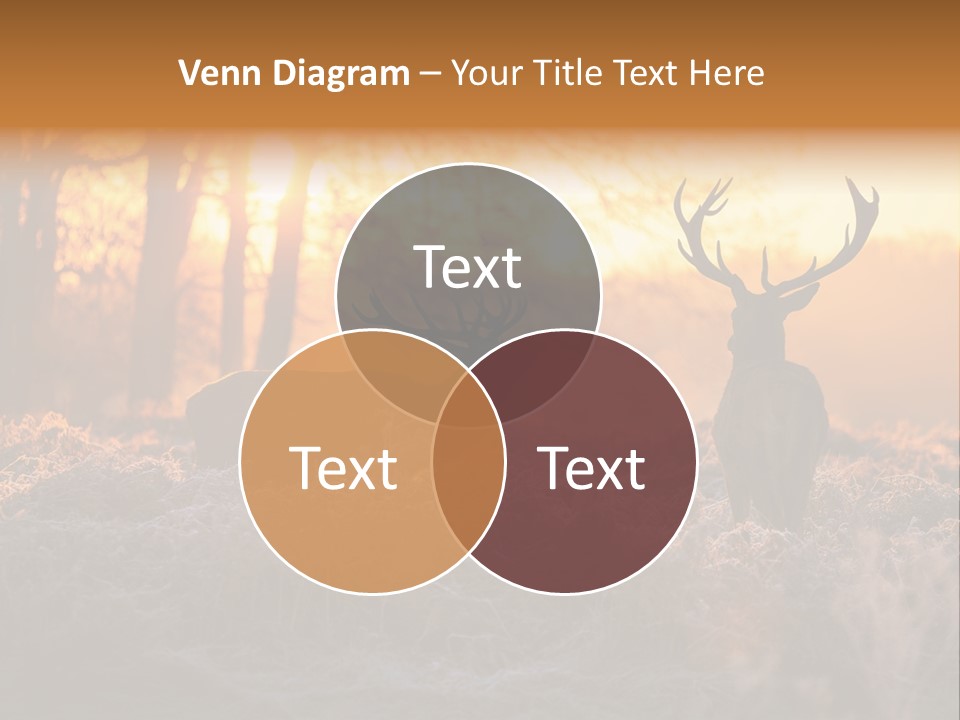 Hoge Veluwe Hunting Trees PowerPoint Template