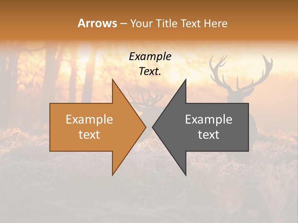 Hoge Veluwe Hunting Trees PowerPoint Template