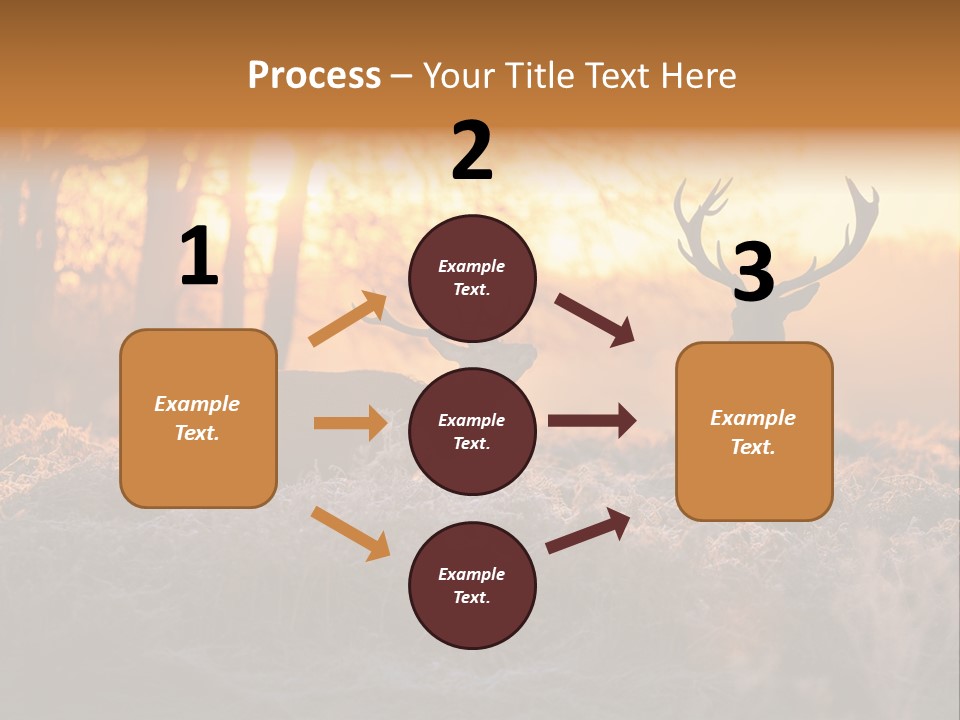 Hoge Veluwe Hunting Trees PowerPoint Template