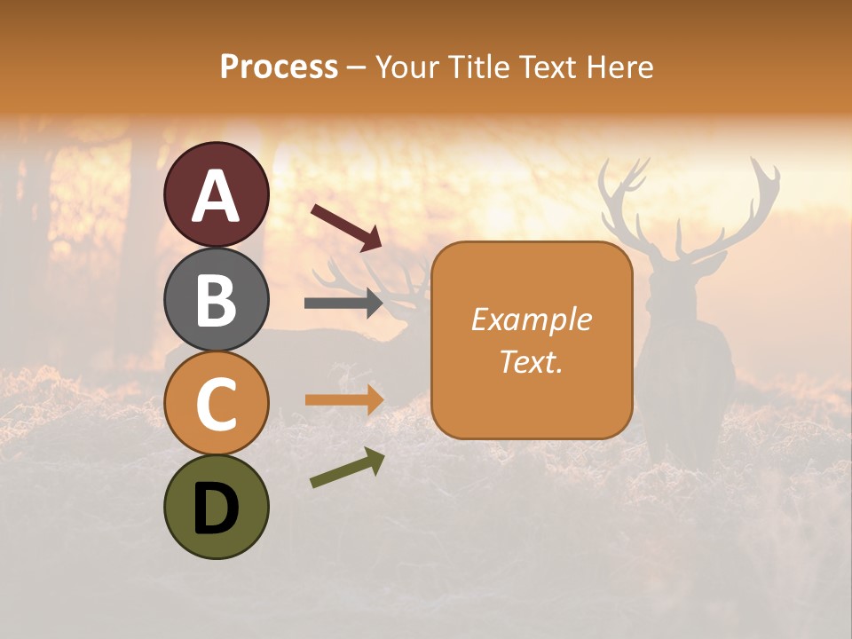 Hoge Veluwe Hunting Trees PowerPoint Template