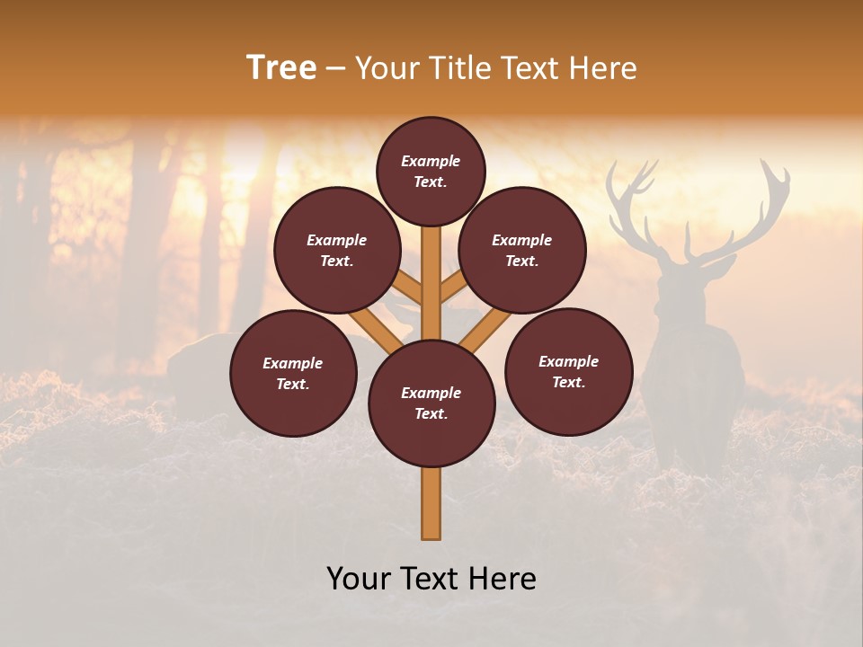 Hoge Veluwe Hunting Trees PowerPoint Template