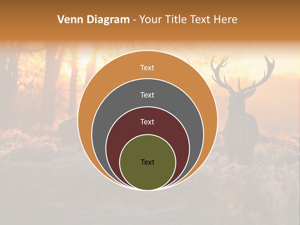 Hoge Veluwe Hunting Trees PowerPoint Template