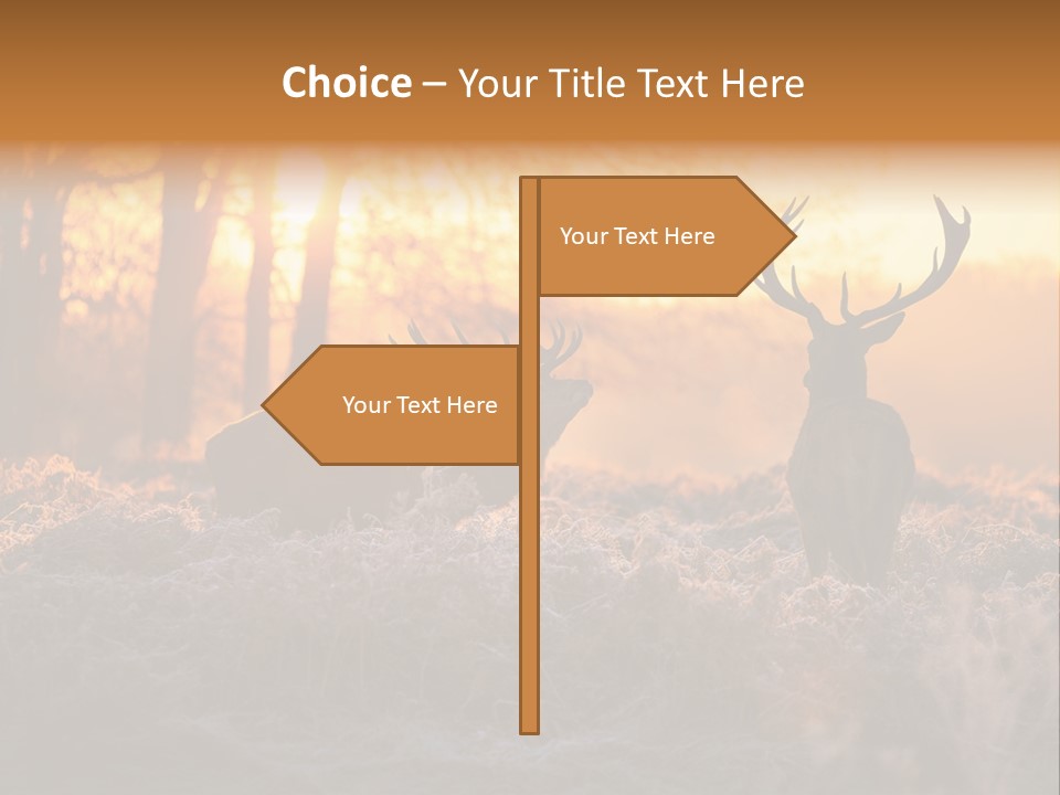 Hoge Veluwe Hunting Trees PowerPoint Template