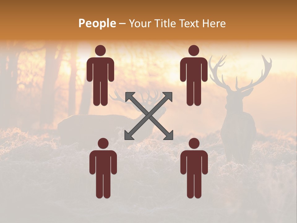 Hoge Veluwe Hunting Trees PowerPoint Template