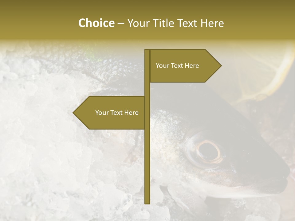 A Fish With A Piece Of Broccoli On Top Of It PowerPoint Template