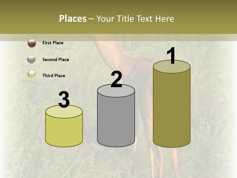 Fruit Vegetarian Juicy PowerPoint Template