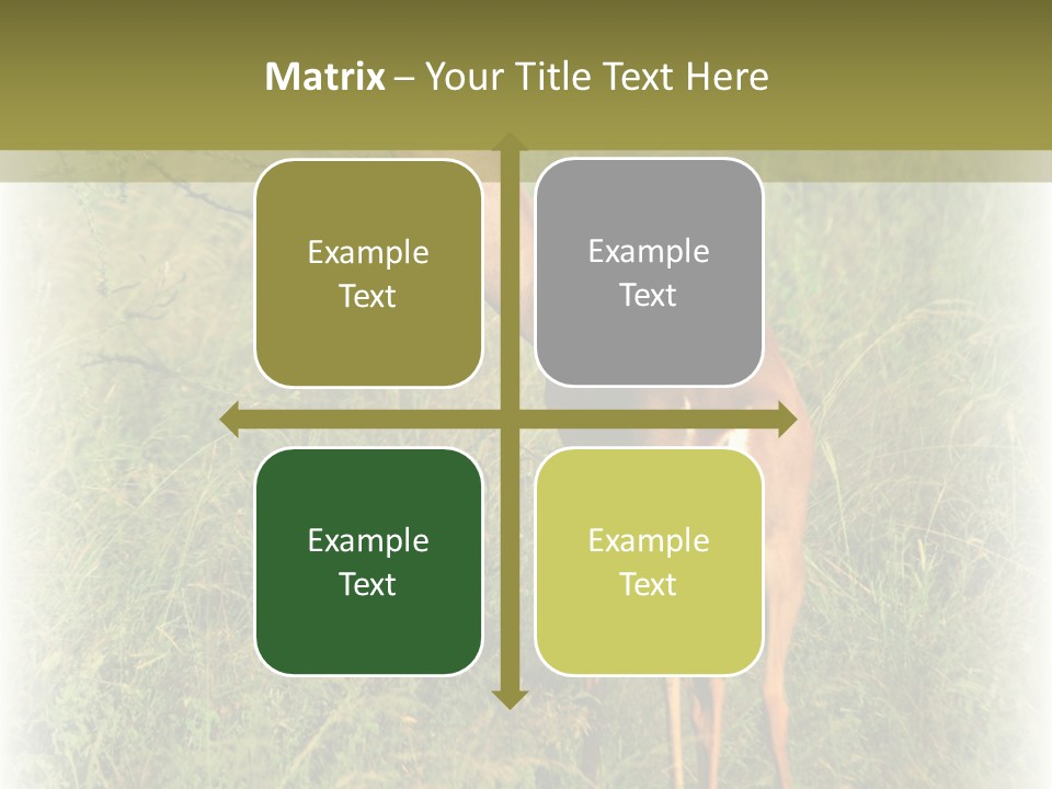 Fruit Vegetarian Juicy PowerPoint Template