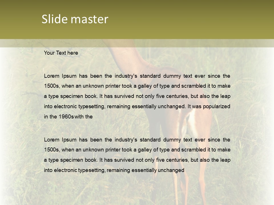 Fruit Vegetarian Juicy PowerPoint Template