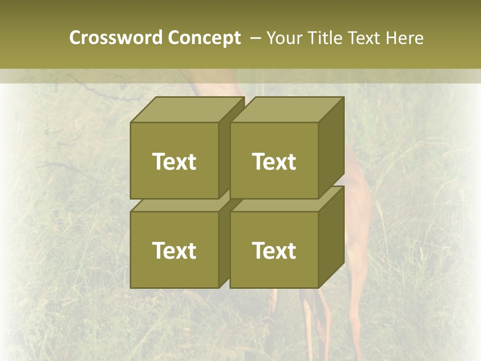 Fruit Vegetarian Juicy PowerPoint Template