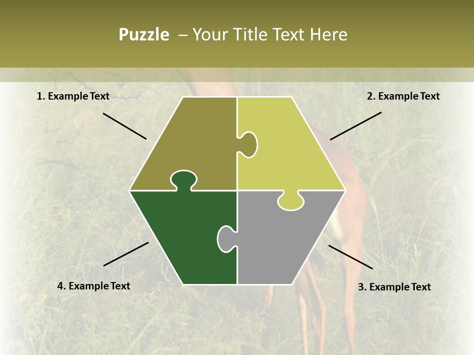 Fruit Vegetarian Juicy PowerPoint Template
