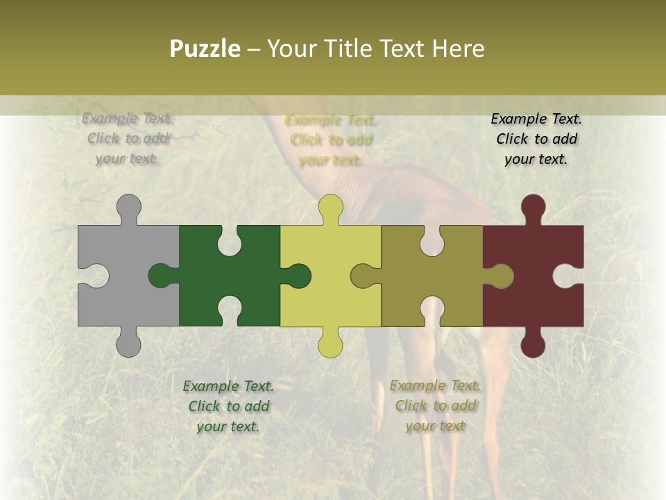 Fruit Vegetarian Juicy PowerPoint Template