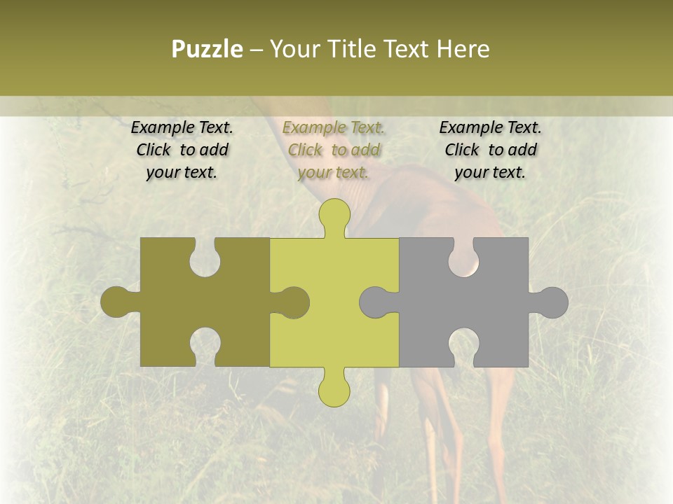 Fruit Vegetarian Juicy PowerPoint Template