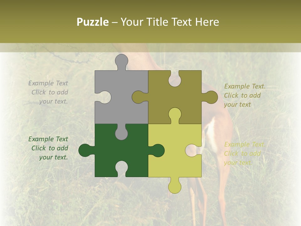 Fruit Vegetarian Juicy PowerPoint Template