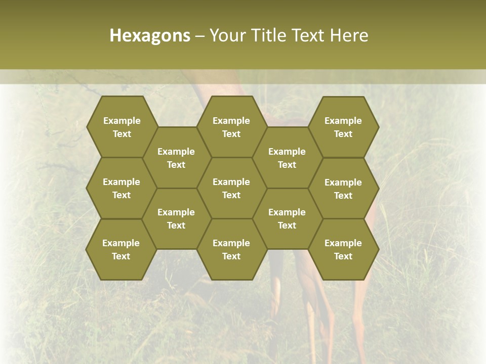 Fruit Vegetarian Juicy PowerPoint Template