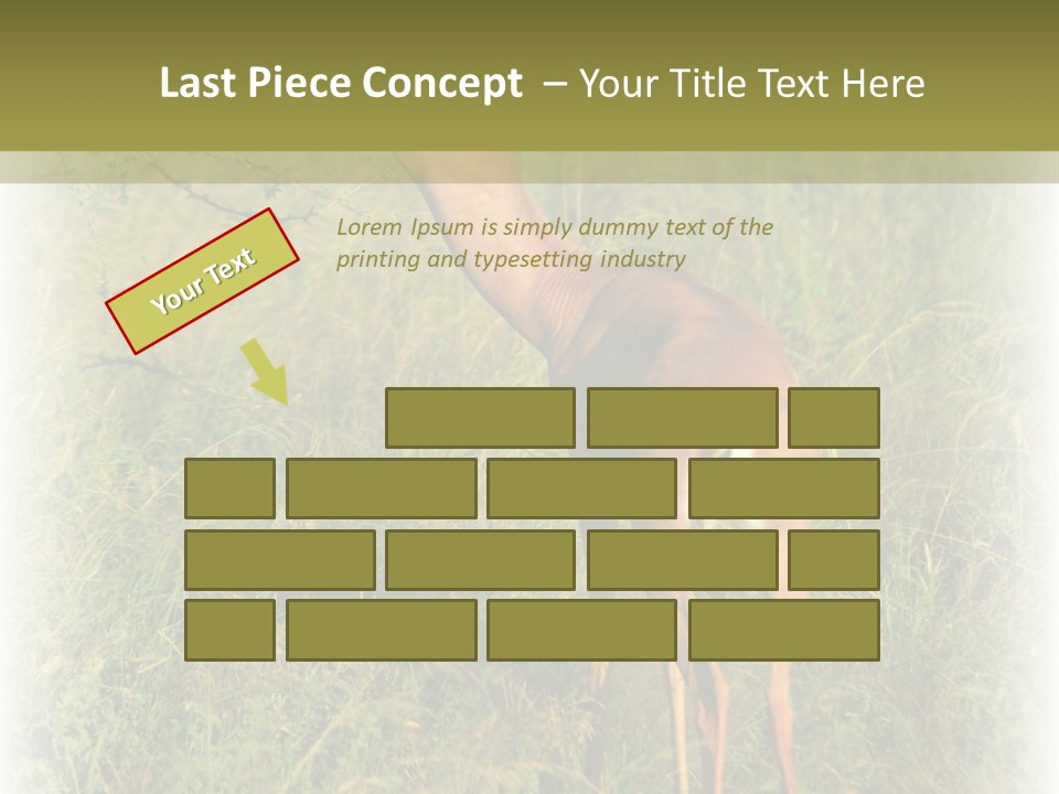 Fruit Vegetarian Juicy PowerPoint Template