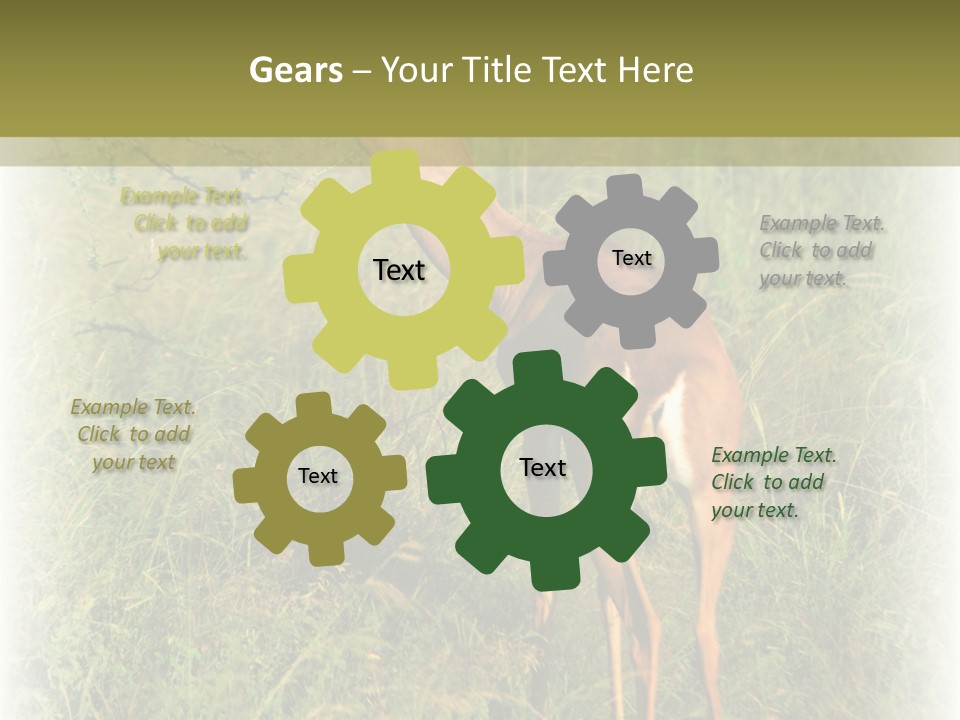 Fruit Vegetarian Juicy PowerPoint Template