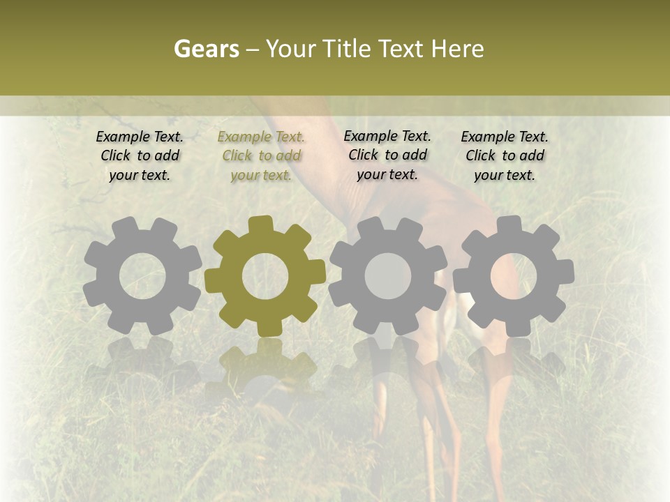 Fruit Vegetarian Juicy PowerPoint Template