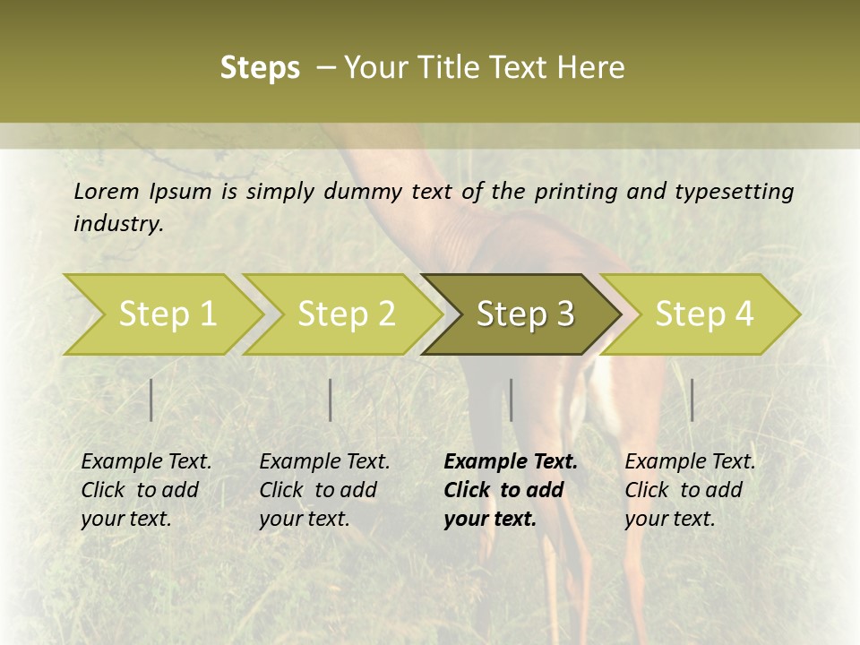 Fruit Vegetarian Juicy PowerPoint Template
